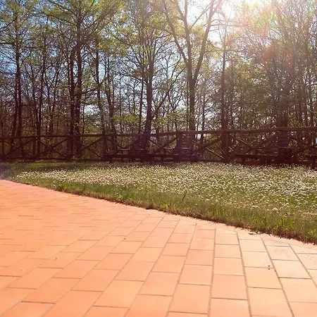 라 코르테 델 카발리에리노 * Montepulciano Stazione